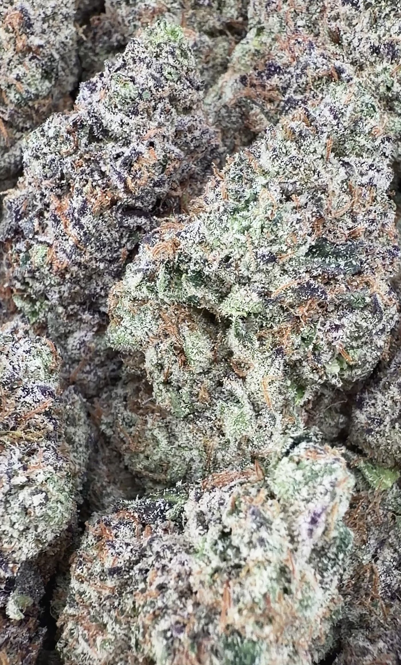 Candy Fumerz- Indica Hybrid