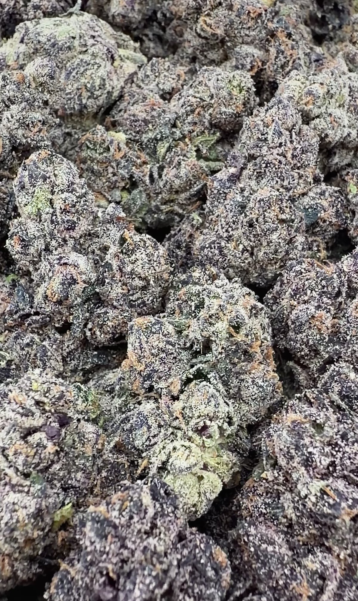 Cadillac Rainbow- Indica Hybrid