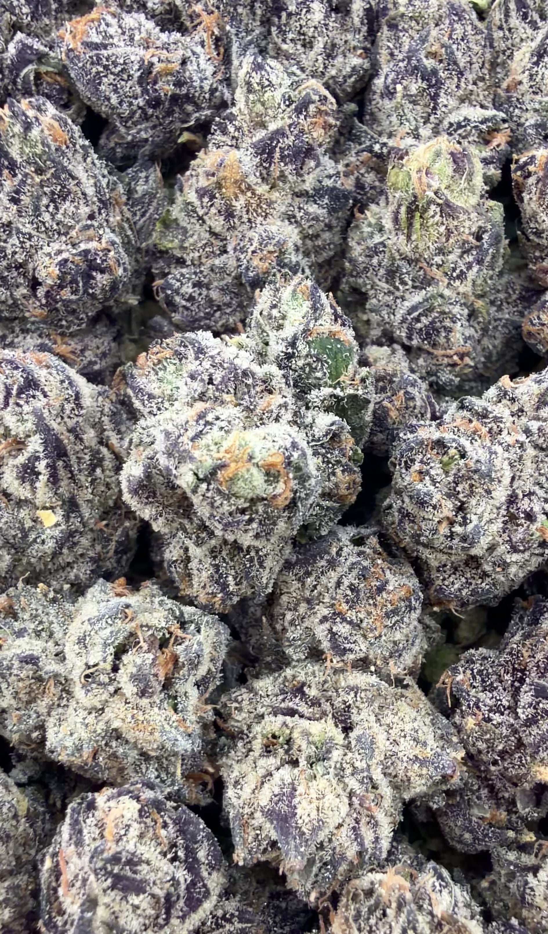 Ice Cream Sundae Smalls- Hybrid