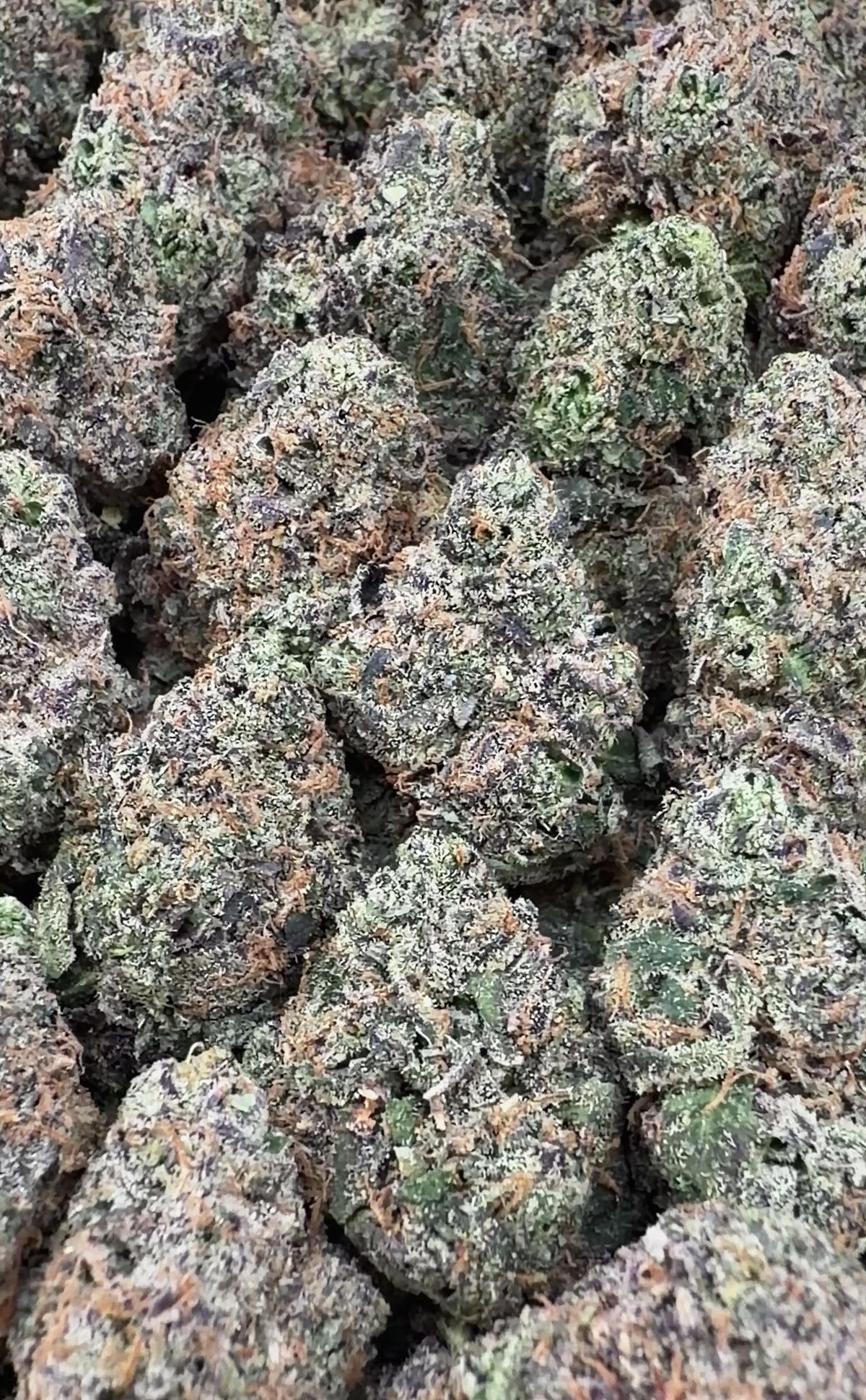 Blue Nerds- Indica Hybrid