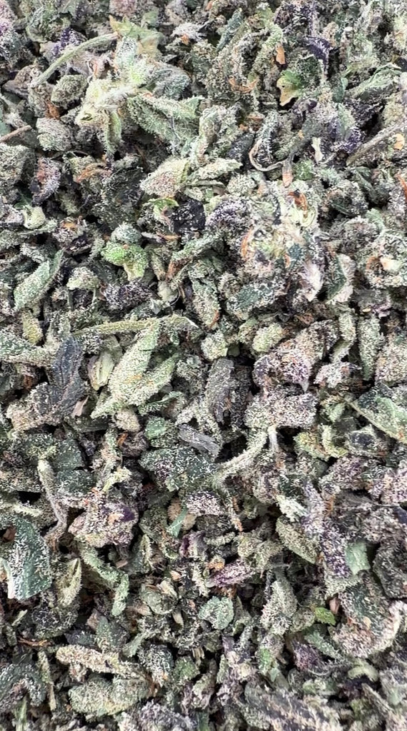 (Buy 1 Get 2) T05 Blackberry Shake