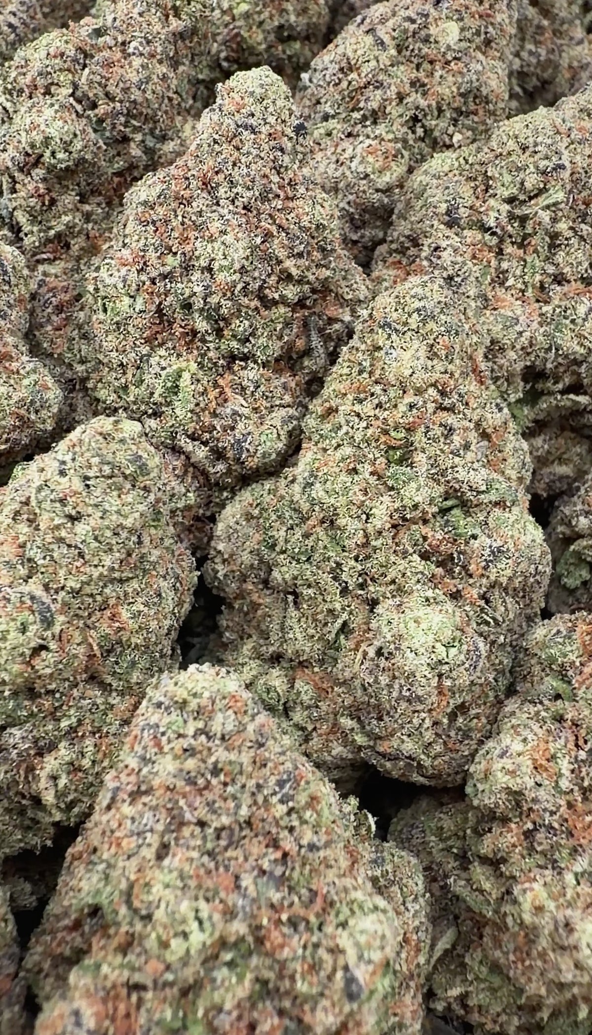 Buy 14g get 14g: Glitter Bomb- Indica Hybrid