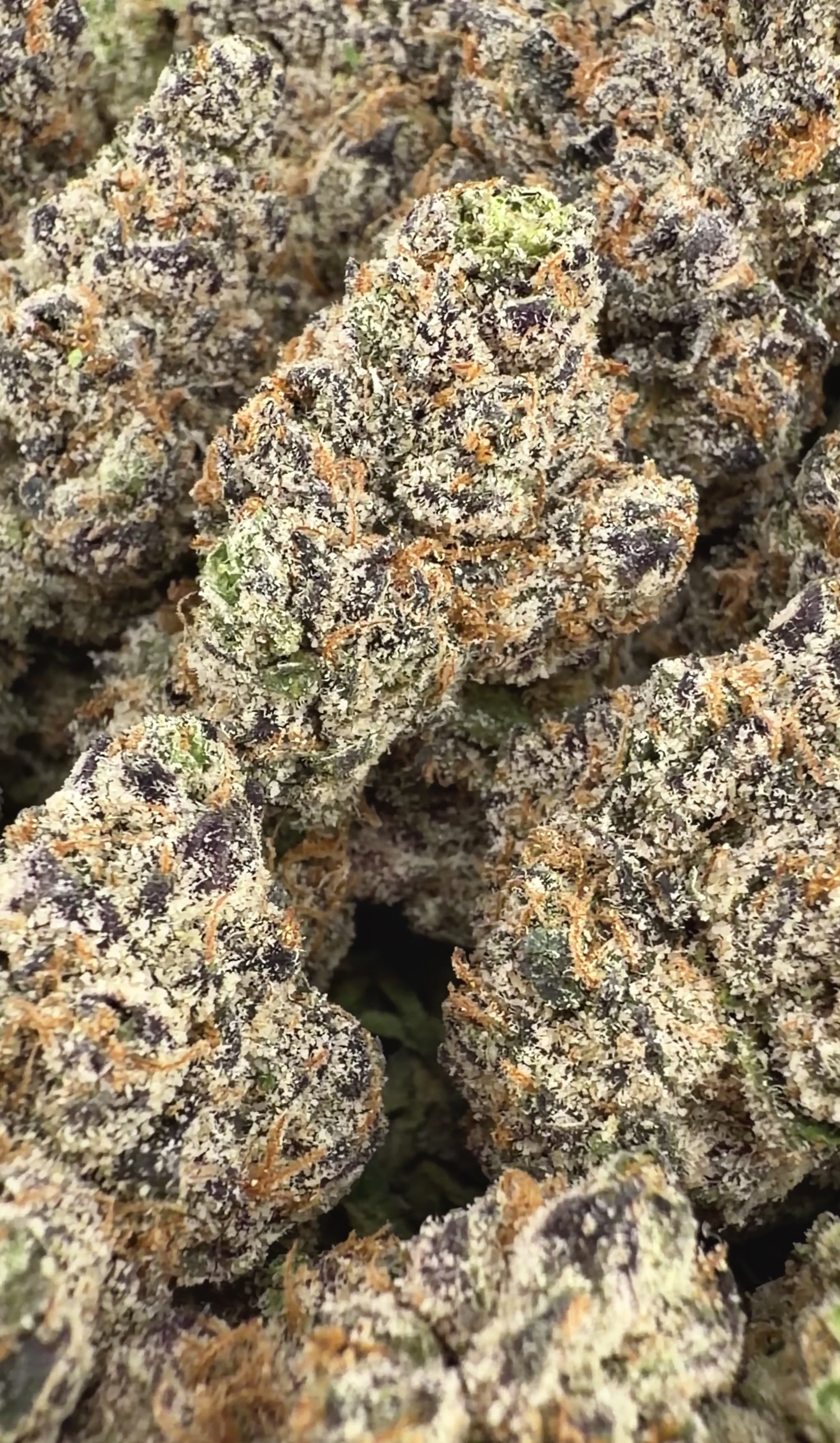 Super Runtz - Hybrid