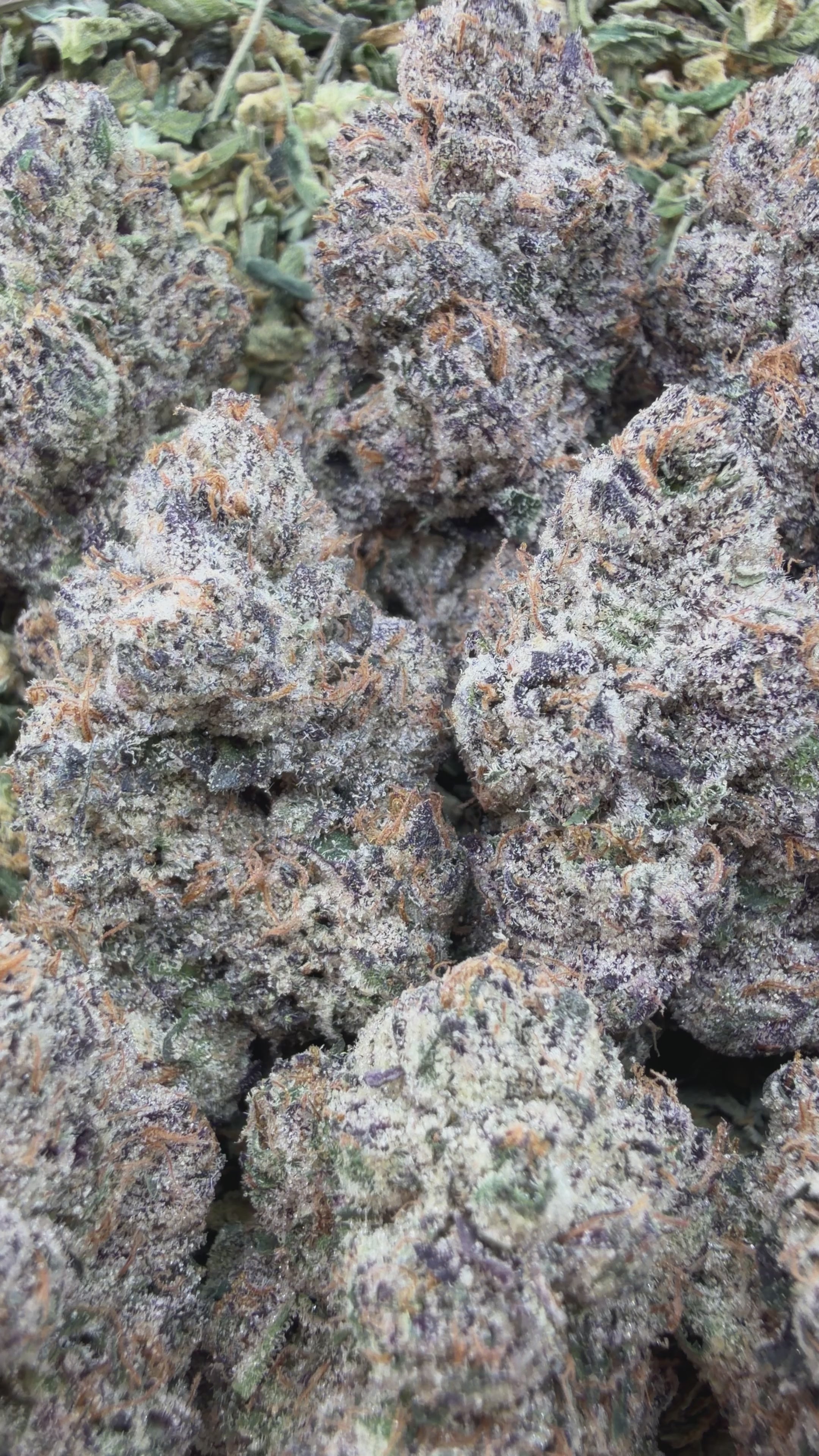 Grape Gelato - Indica Hybrid
