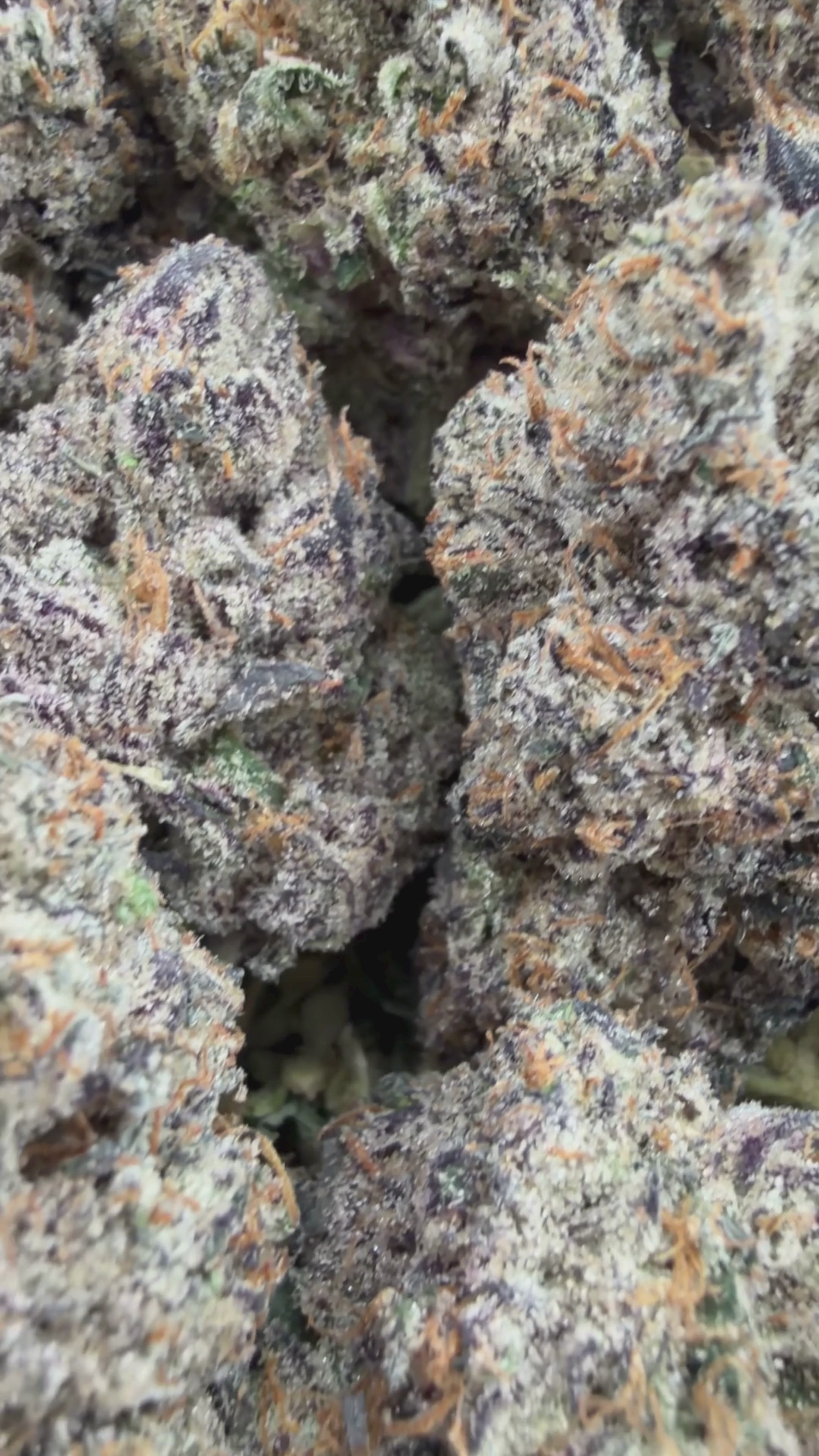 Super Boof Smalls - Hybrid