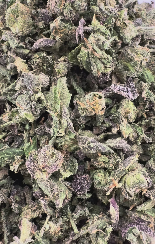 BOGO SHAKE : T03 Sherbet THCA Shake - Indica Hybrid