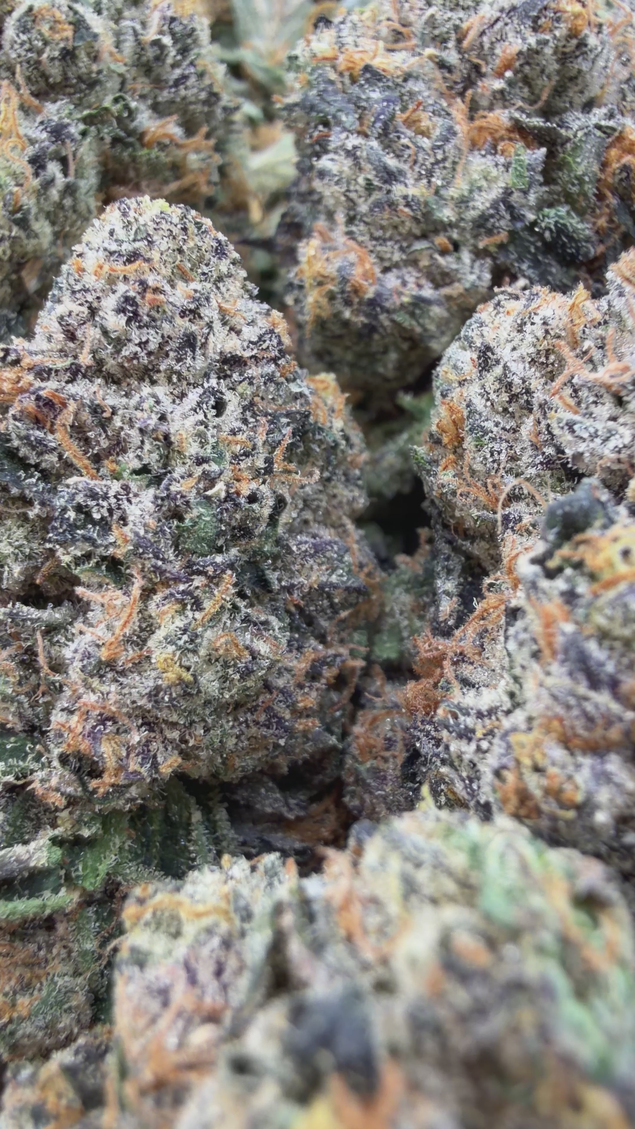 Residual Sugar -  Hybrid