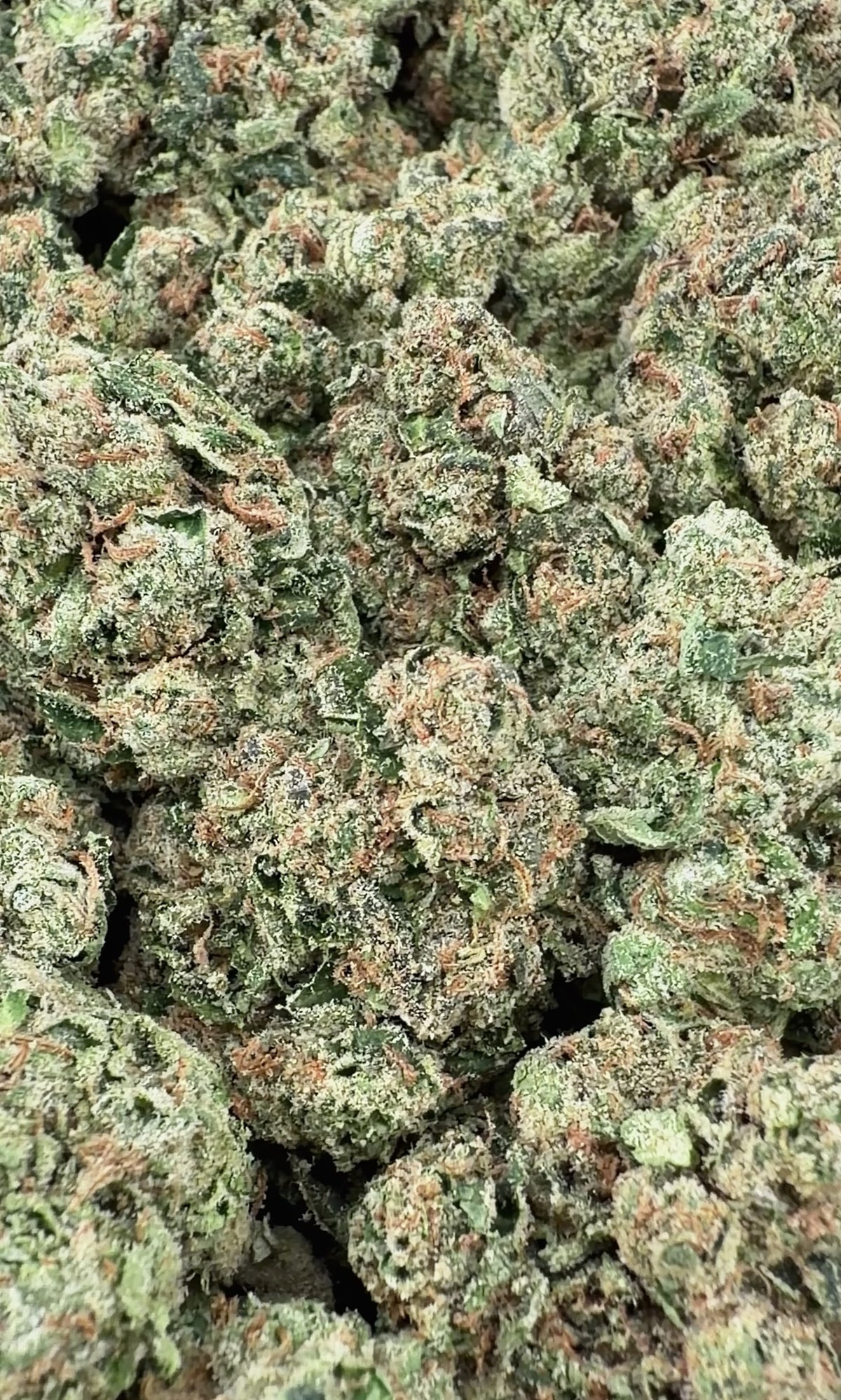 Grape Candy- Indica Hybrid