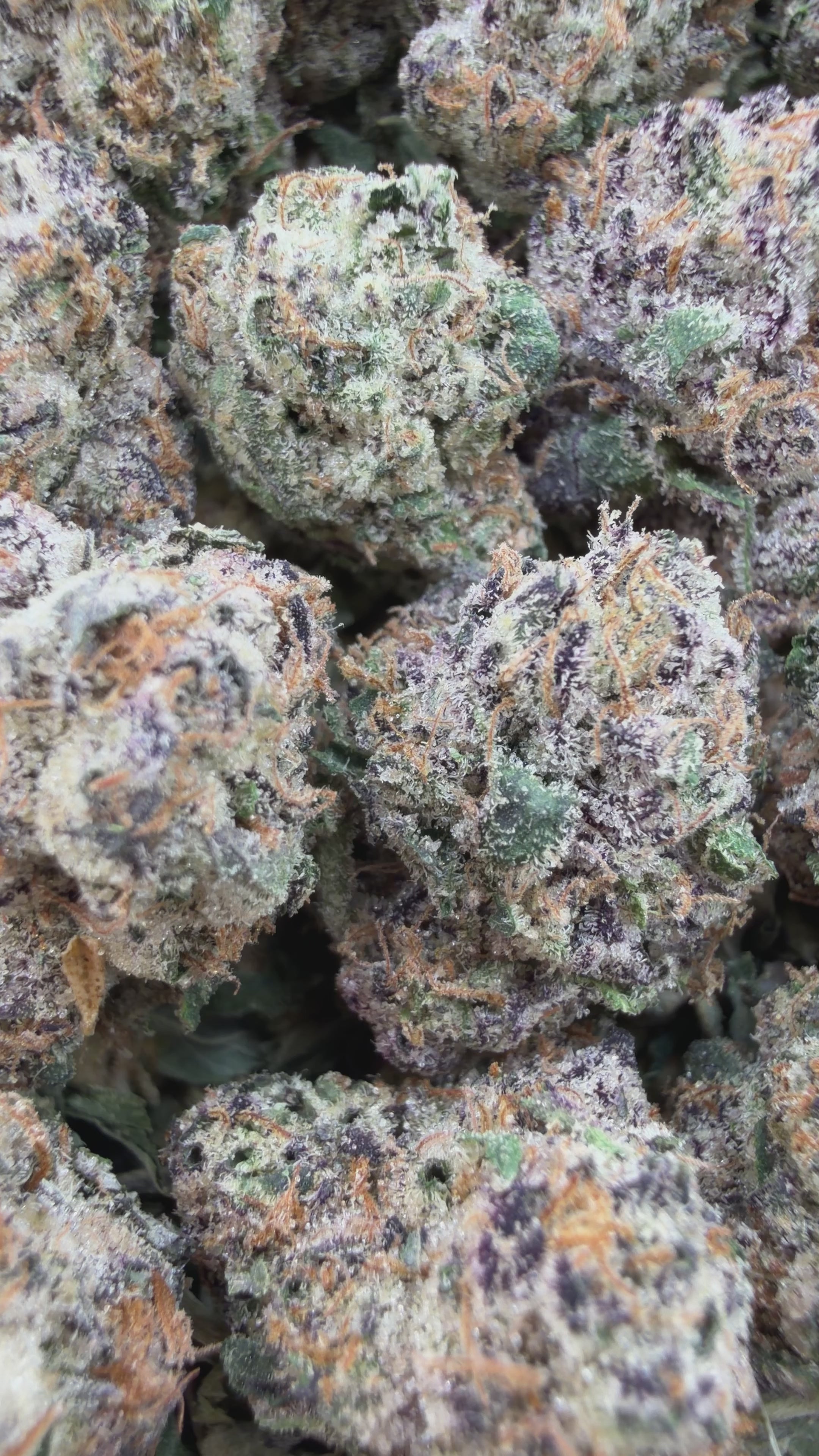 White Apple Runtz Smalls - Hybrid