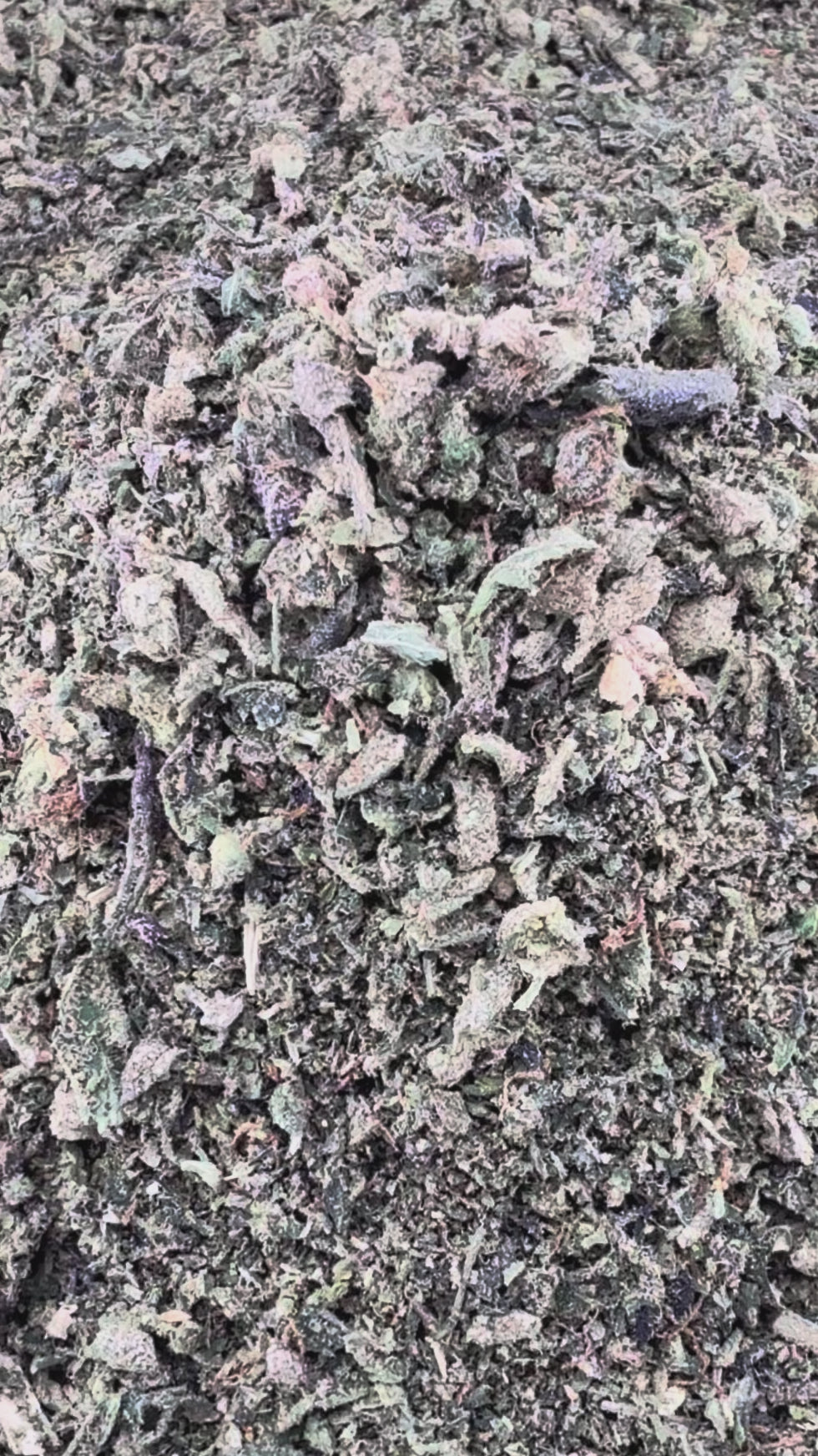 Shake - Buy 1OZ get 2OZ Free