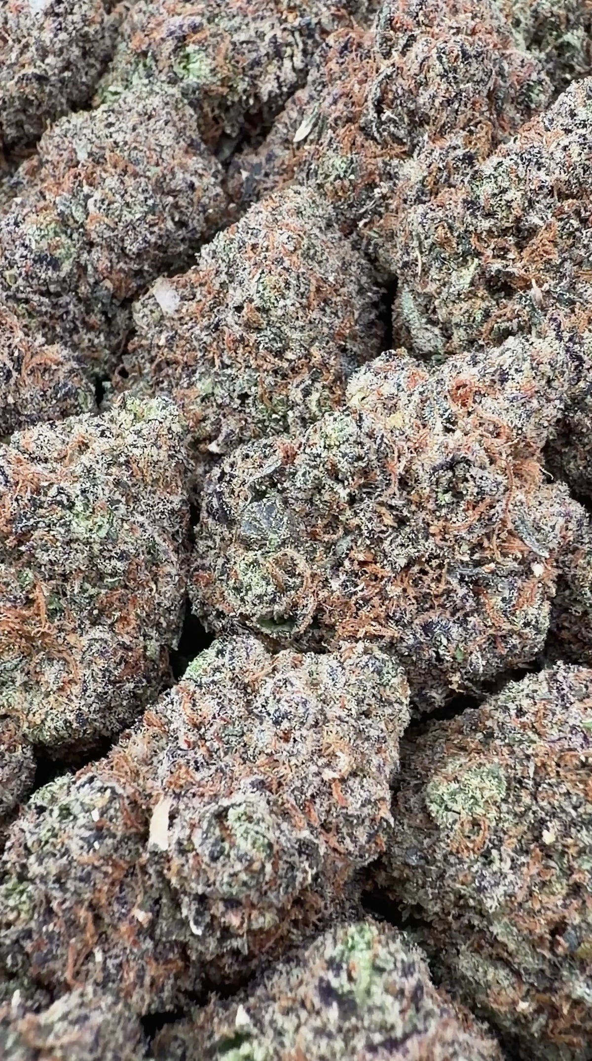 Grape Gelato - Indica Hybrid